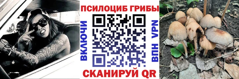 где продают наркотики  Луховицы  МЕГА зеркало  Галлюциногенные грибы прущие грибы 